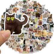 Funny Cat Meme Stickers, 50 or 100-Piece Waterproof Vinyl De - 5