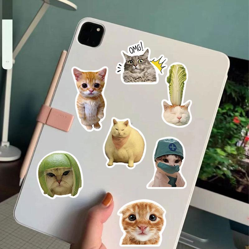 Funny Cat Meme Stickers, 50 or 100-Piece Waterproof Vinyl De - 2