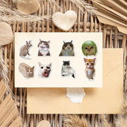 Funny Cat Meme Stickers, 50 or 100-Piece Waterproof Vinyl De - 3
