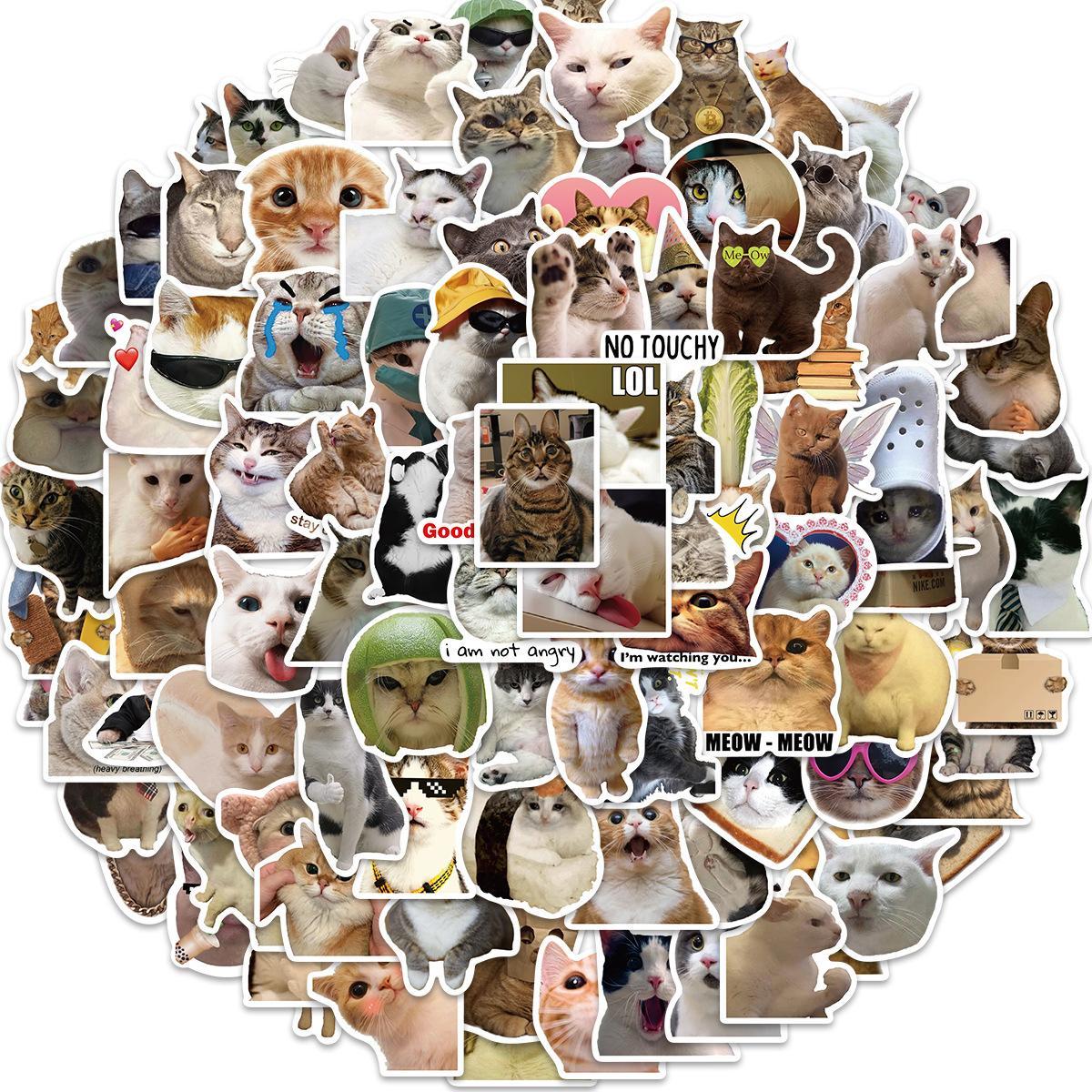 Funny Cat Meme Stickers, 50 or 100-Piece Waterproof Vinyl De - 1