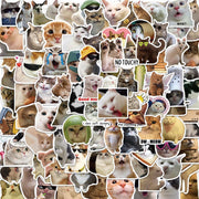 Funny Cat Meme Stickers, 50 or 100-Piece Waterproof Vinyl De - 6