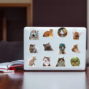 Funny Cat Meme Stickers, 50 or 100-Piece Waterproof Vinyl De - 4