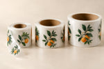 Illustrative clear label rolls showing different kraft paper core opening sizes