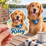 Pet Dog Stickers - main lifestyle image