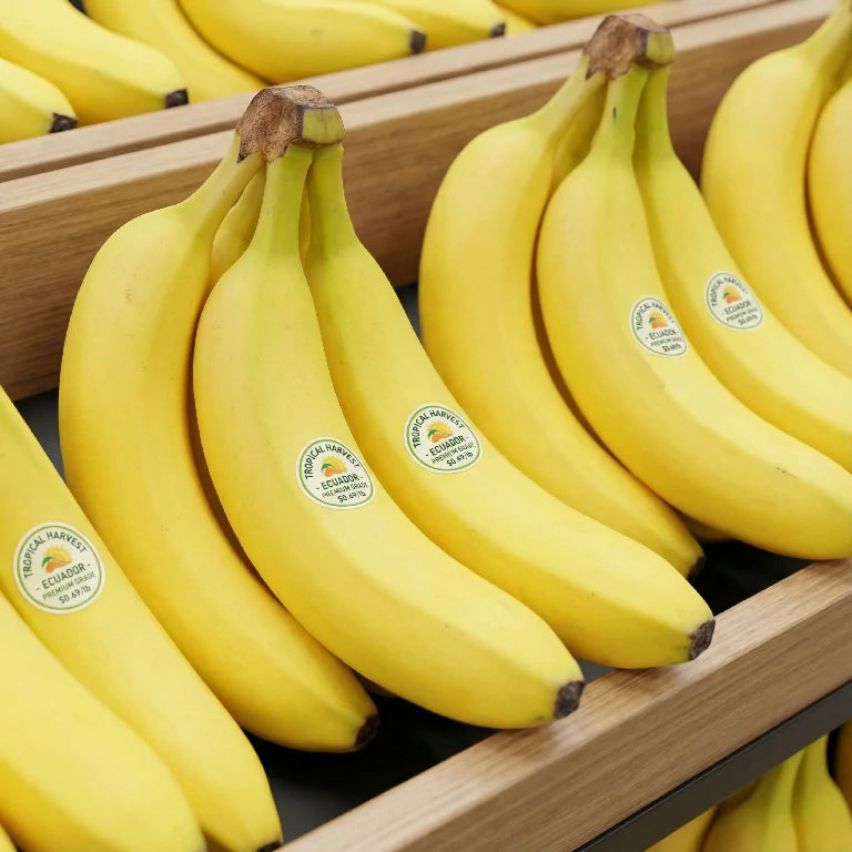 Uncoated fiber, soft-touch finishes, wax, condensation or products exposed to oils