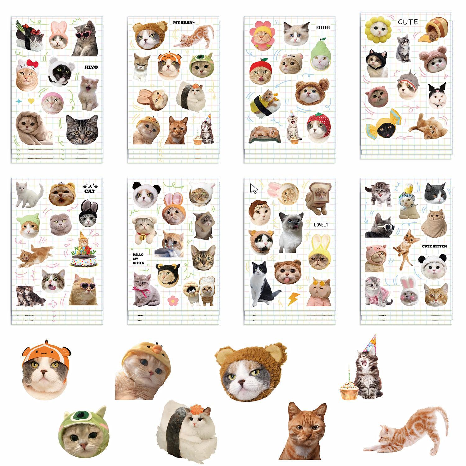 Cat & Bear Meme Sticker Sheets – 8 Sheets